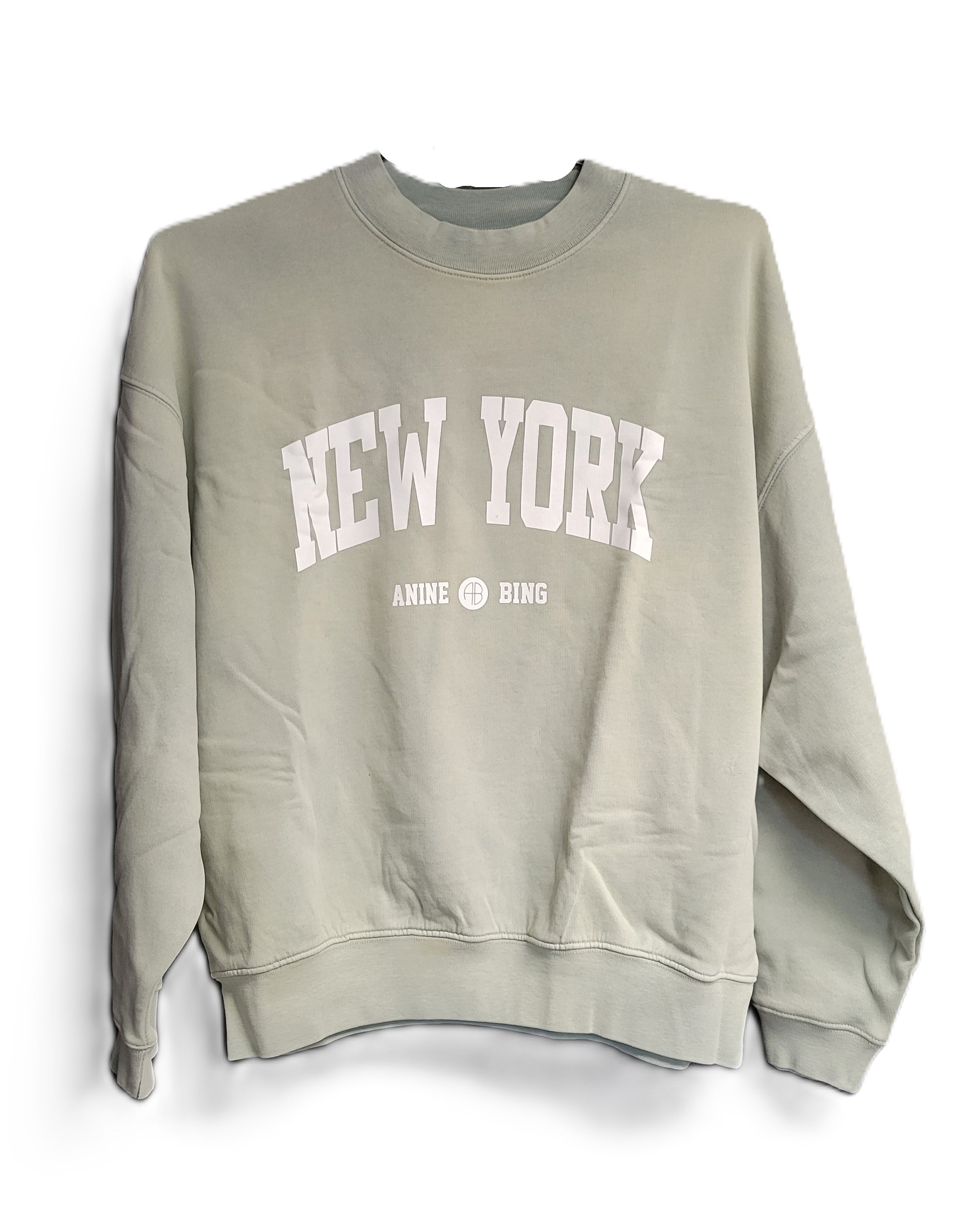 ANINE BING Jaci University New York in Washed Faded Seafoam Size Small